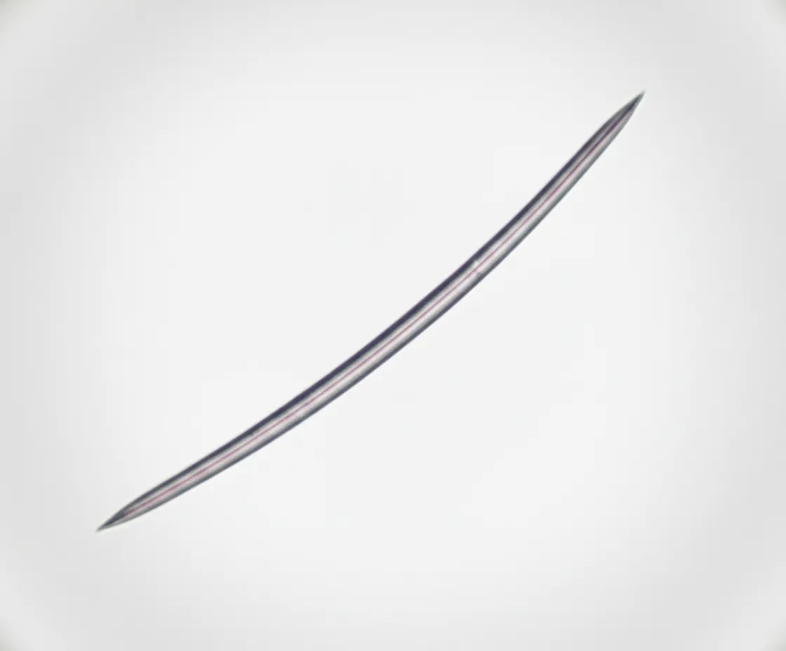 単一スピキュール — 270μm 針状構造